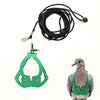 A green adjustable parrot harness and black elastic leash set shown next to a bird.