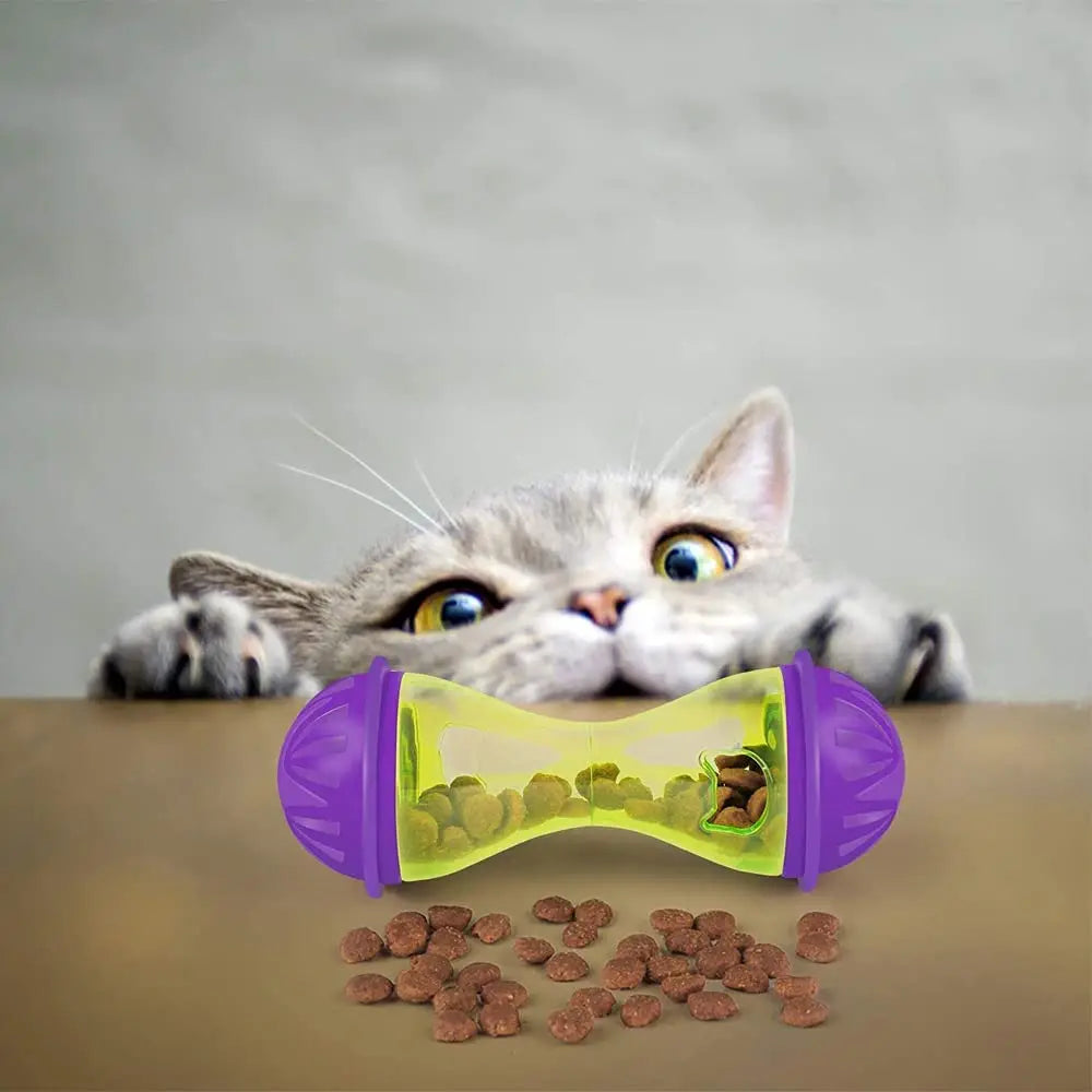 A gray cat looks at a purple food dispensing ball toy with green kibble and brown pellets scattered in front of it.