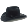 Adjustable Pet Cowboy Hat for Small Dogs and Cats