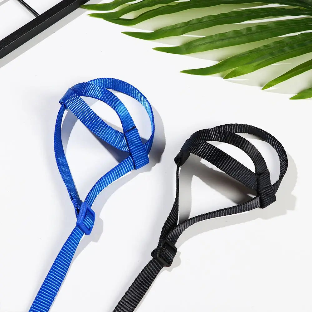 A pair of blue and black bird harnesses are displayed on a white surface next to green leaves.