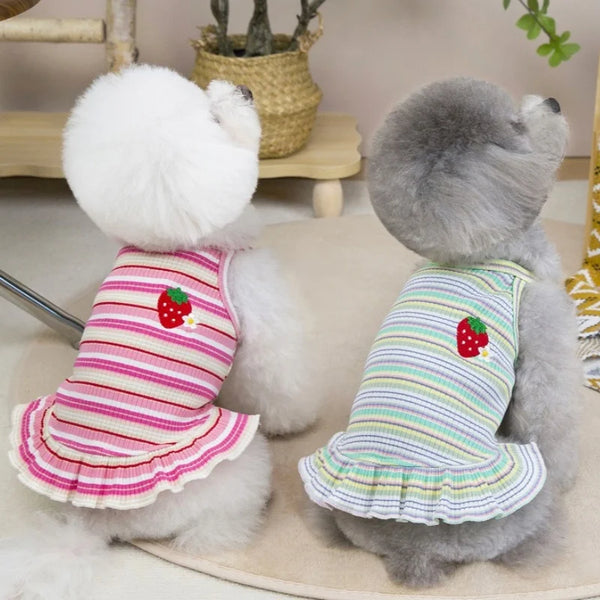 A fluffy gray dog wearing a pink and white striped strawberry print cotton dress.
