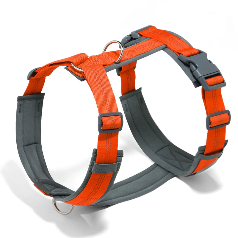 Orange and gray adjustable dog harness with an H-shaped design shown against a white background.