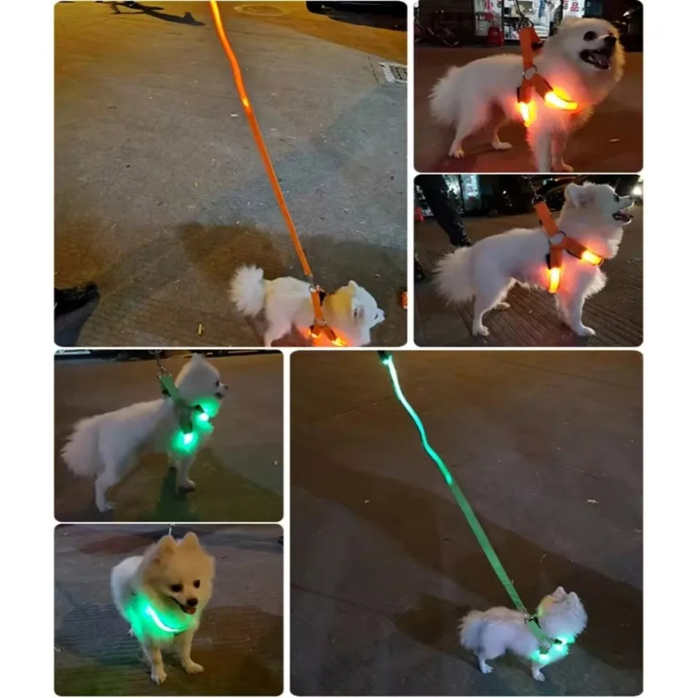 A series of photos showing a white dog wearing a rechargeable LED harness and a small white dog wearing an orange harness.