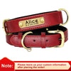 Personalisierte gepolsterte Leder-Hundehalsband mit graviertem Namensschild