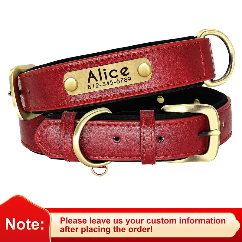 Personalisierte gepolsterte Leder-Hundehalsband mit graviertem Namensschild