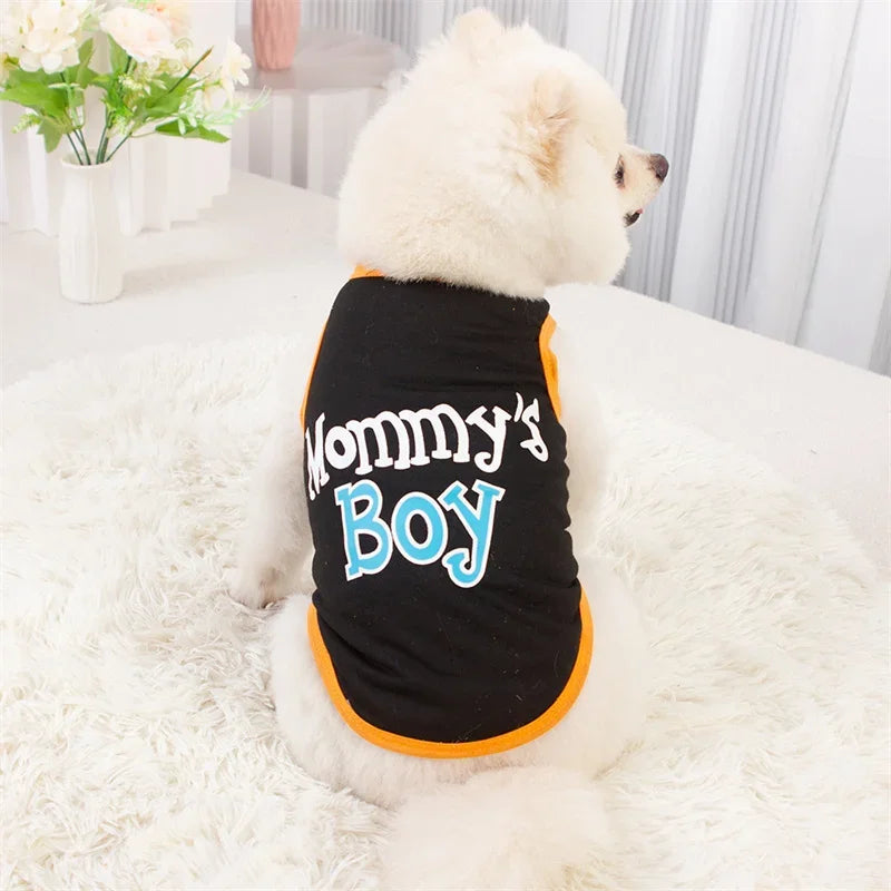 A fluffy white dog wearing a black sleeveless vest with blue lettering that reads Mommy's Boy