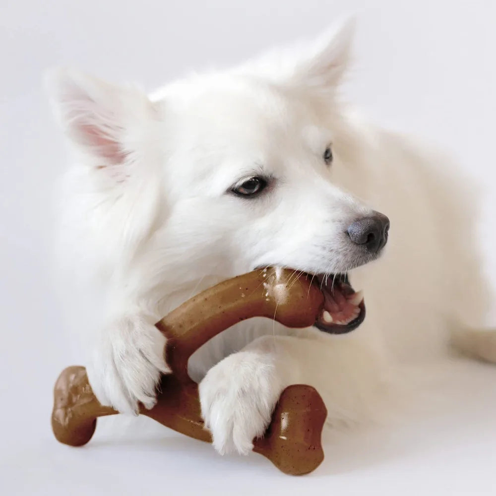 Ein weißer Hund hält ein braunes Nylon-Kau-Spielzeug im Maul.