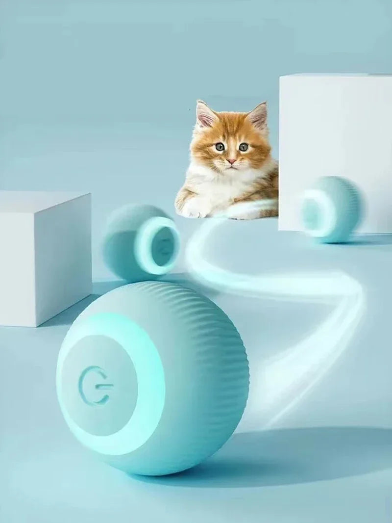 A fluffy orange kitten sits next to a light blue interactive rolling toy ball on a smooth surface.