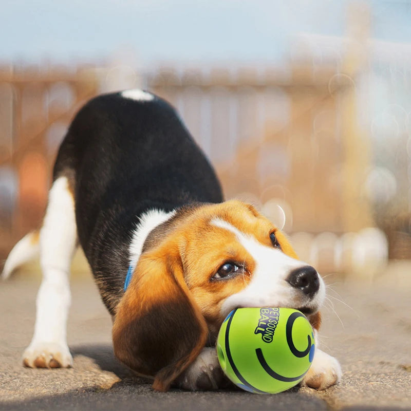A brown and white dog lies down with a bright green interactive wobble ball on its nose.