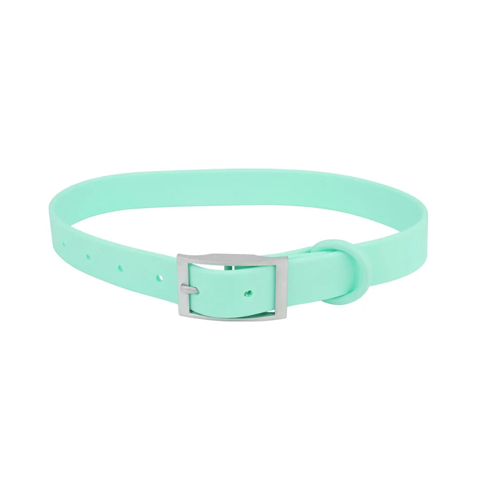 A light mint green adjustable PVC pet collar with a silver buckle.