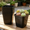 Mini Square Plastic Plant Pots with Drainage Holes for Seed Starting