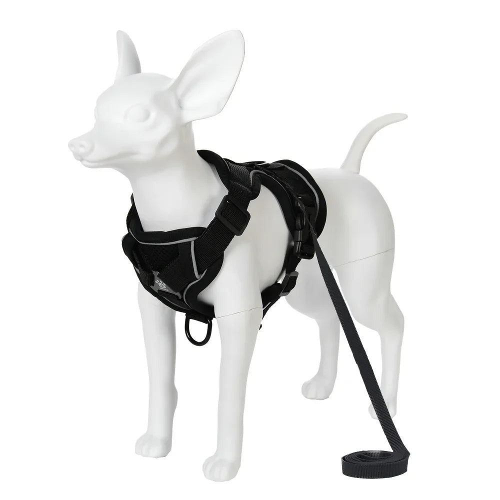 A white dog wearing a black adjustable harness with a leash.