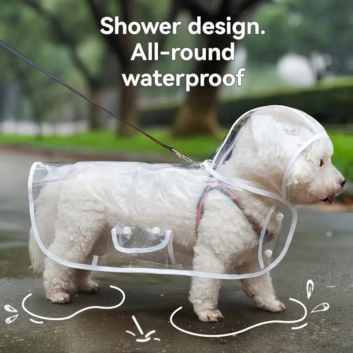 Clear Dog Raincoat with Button-Up Front