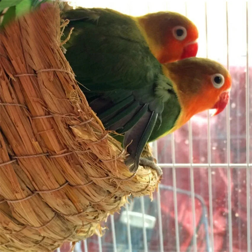 A vibrant orange and green parrot is perched inside a handwoven straw bird nest.