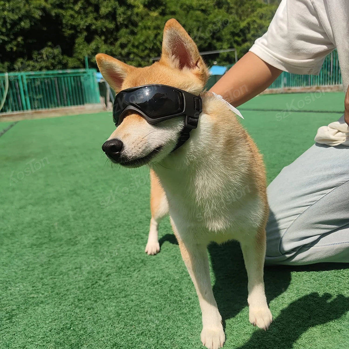 Adjustable UV Protection Dog Goggles for Small & Medium Breeds