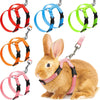Adjustable Nylon Harness and Leash Set for Small Pets