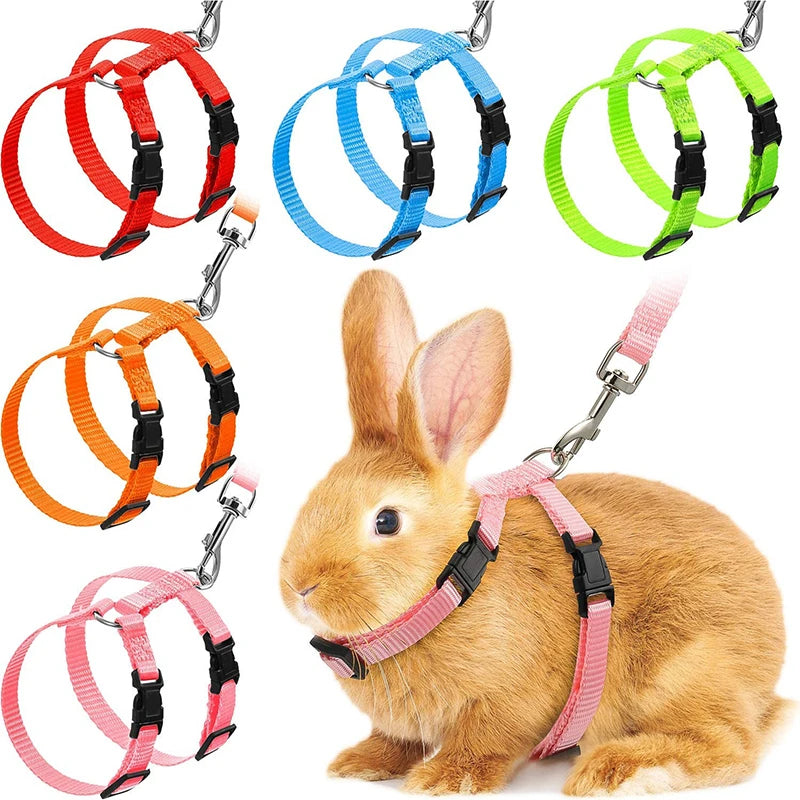 Adjustable Nylon Harness and Leash Set for Small Pets