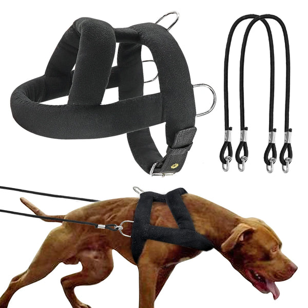 Black adjustable weight pulling training harness for dogs shown with separate straps.