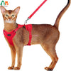 Ausbruchssicherer Katzen-Geschirr mit Leine
