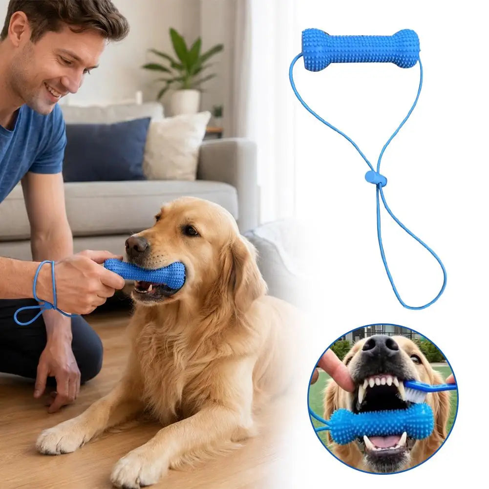 A golden retriever is chewing a blue textured dog chew toy with a strap in a living room setting.