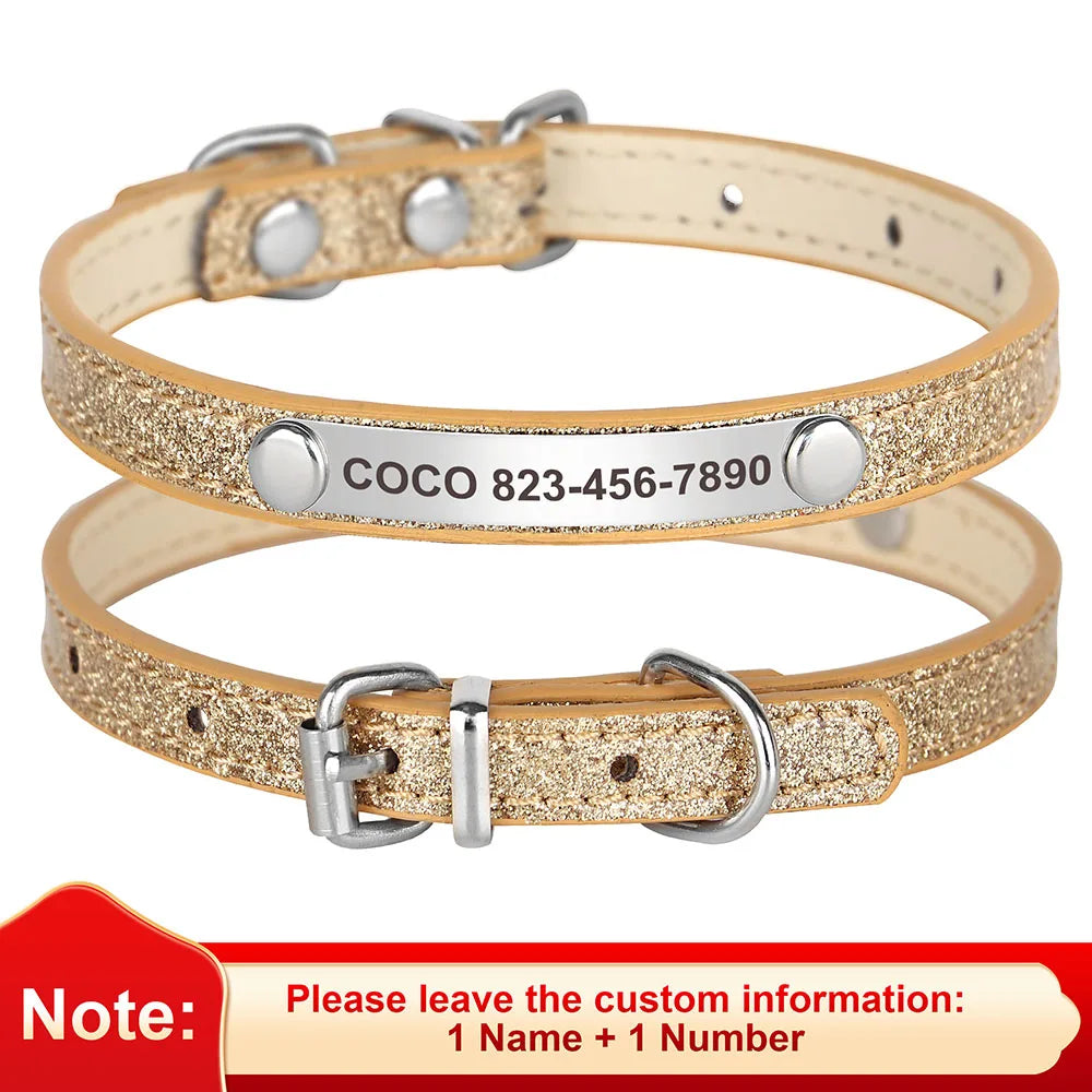 Collier de chat en cuir beige avec finition pailletée or et étiquette d'identification argentée gravée de numéro de téléphone