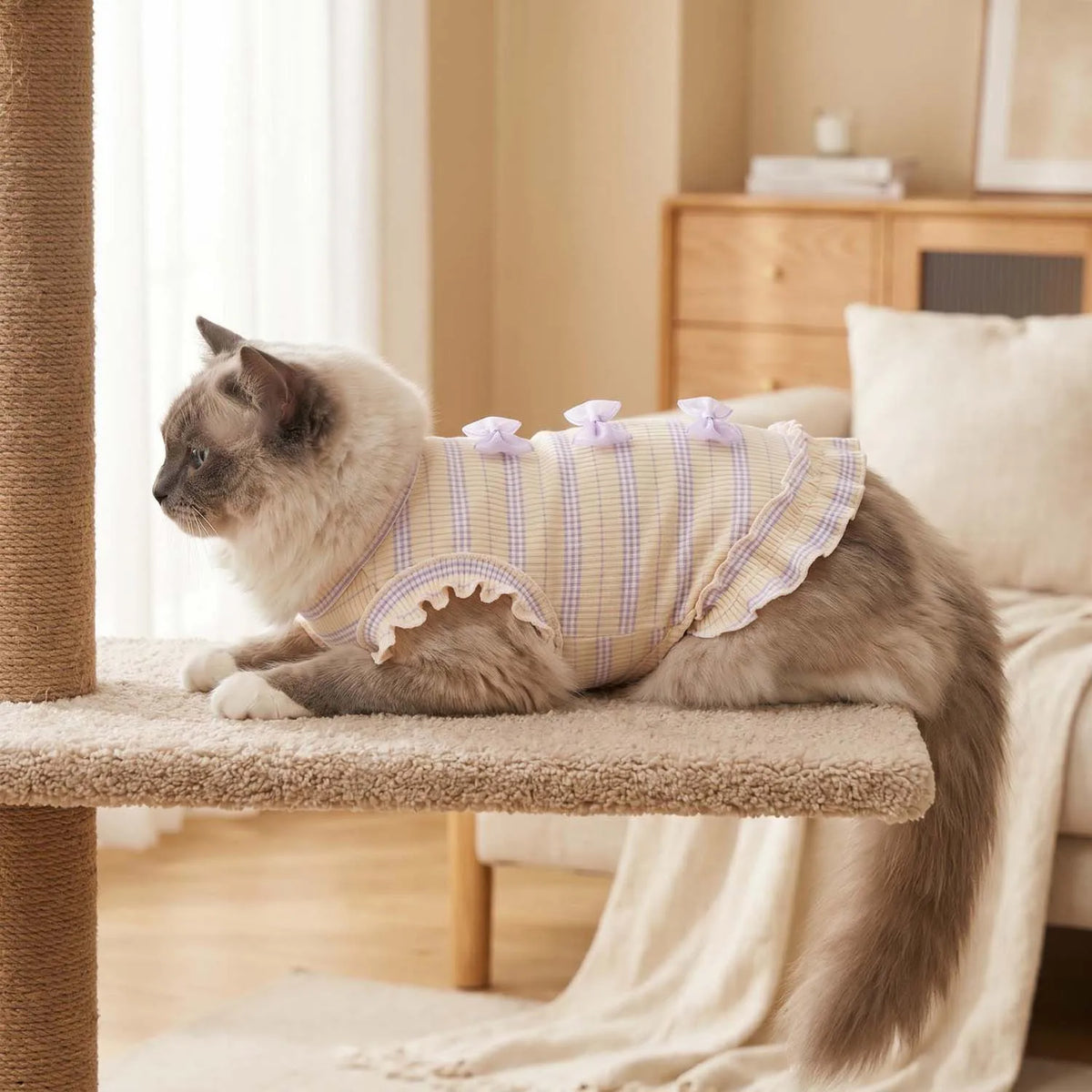 Striped Mesh Dog Outfit with Bow and Ruffles for Small to Medium Breeds