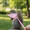 A gray squirrel wearing a pink cartoon escape-proof pet harness with a leash, sitting on a rock in a grassy outdoor setting.