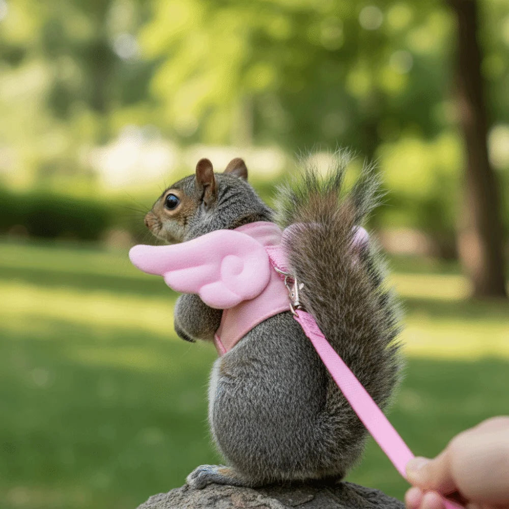 A gray squirrel wearing a pink cartoon escape-proof pet harness with a leash, sitting on a rock in a grassy outdoor setting.