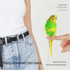 Elastic Parrot Training Leash with Metal Buckle