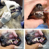 Pet Teeth Cleaning Tool, Double-Sided Tartar Remover