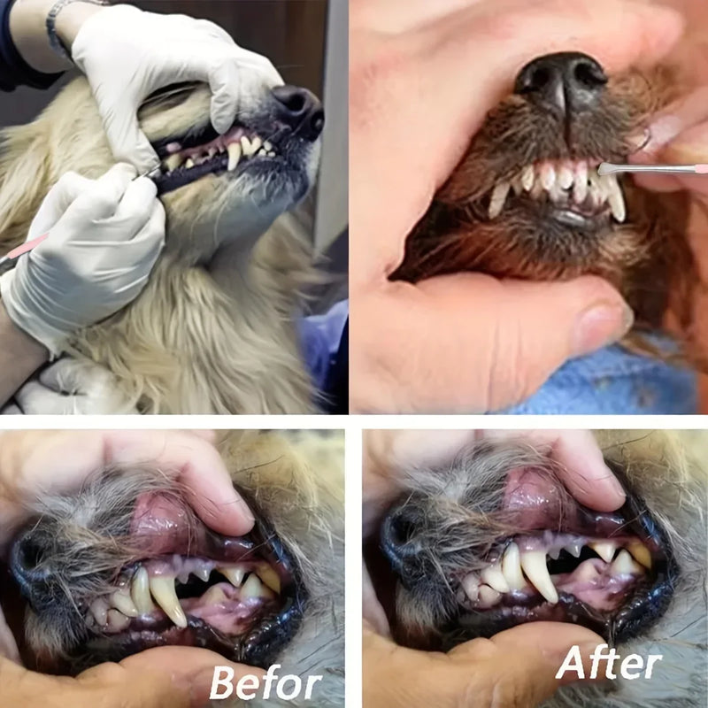 Pet Teeth Cleaning Tool, Double-Sided Tartar Remover