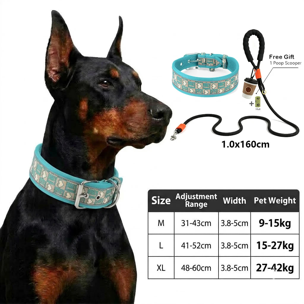 A black dog wearing a blue adjustable harness with a reflective collar and leash.