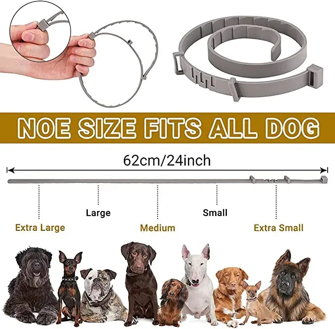 A gray adjustable waterproof pet collar is shown with various sized dog collars and a measuring scale.