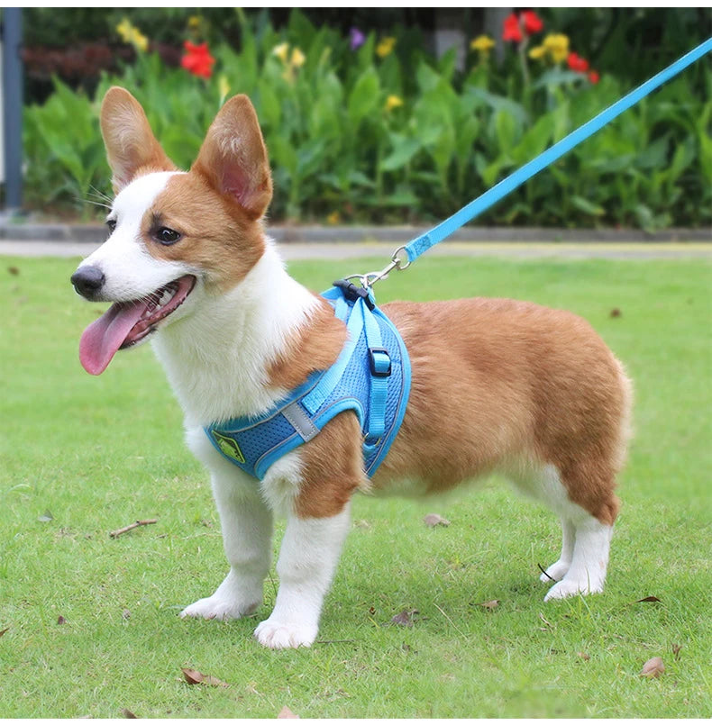 Adjustable Mesh Dog Harness Vest for Small and Medium Pets