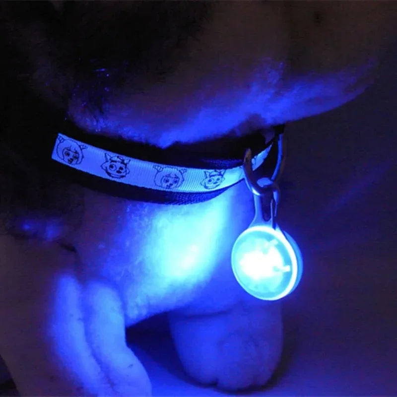 LED-Hundehalsband-Anhänger für Nachtsicherheit