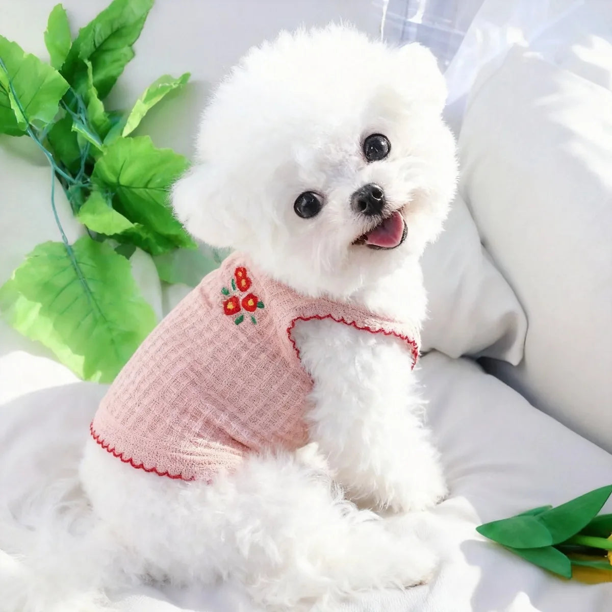 A fluffy white dog wearing a pink floral embroidered summer pet vest, lying on a white surface.