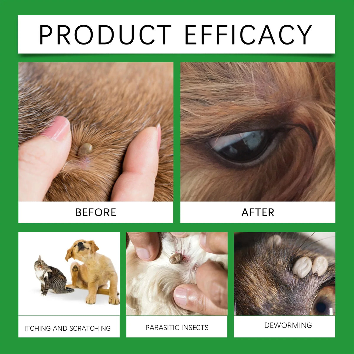 Avant et après montrant l'efficacité d'un spray naturel contre les puces et les tiques sur les animaux, démontrant un soulage