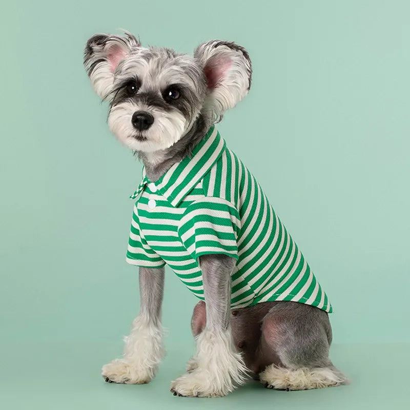 Classic Cotton Polo Shirt for Dogs and Cats