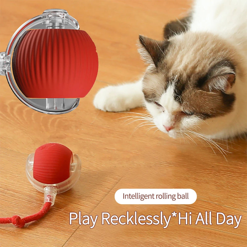 Automatic Rolling Cat Toy with Wiggling Tail