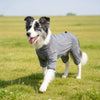 Cozy High-Collar Dog Pajamas – Four-Legged Sleepwear for Large Breeds
