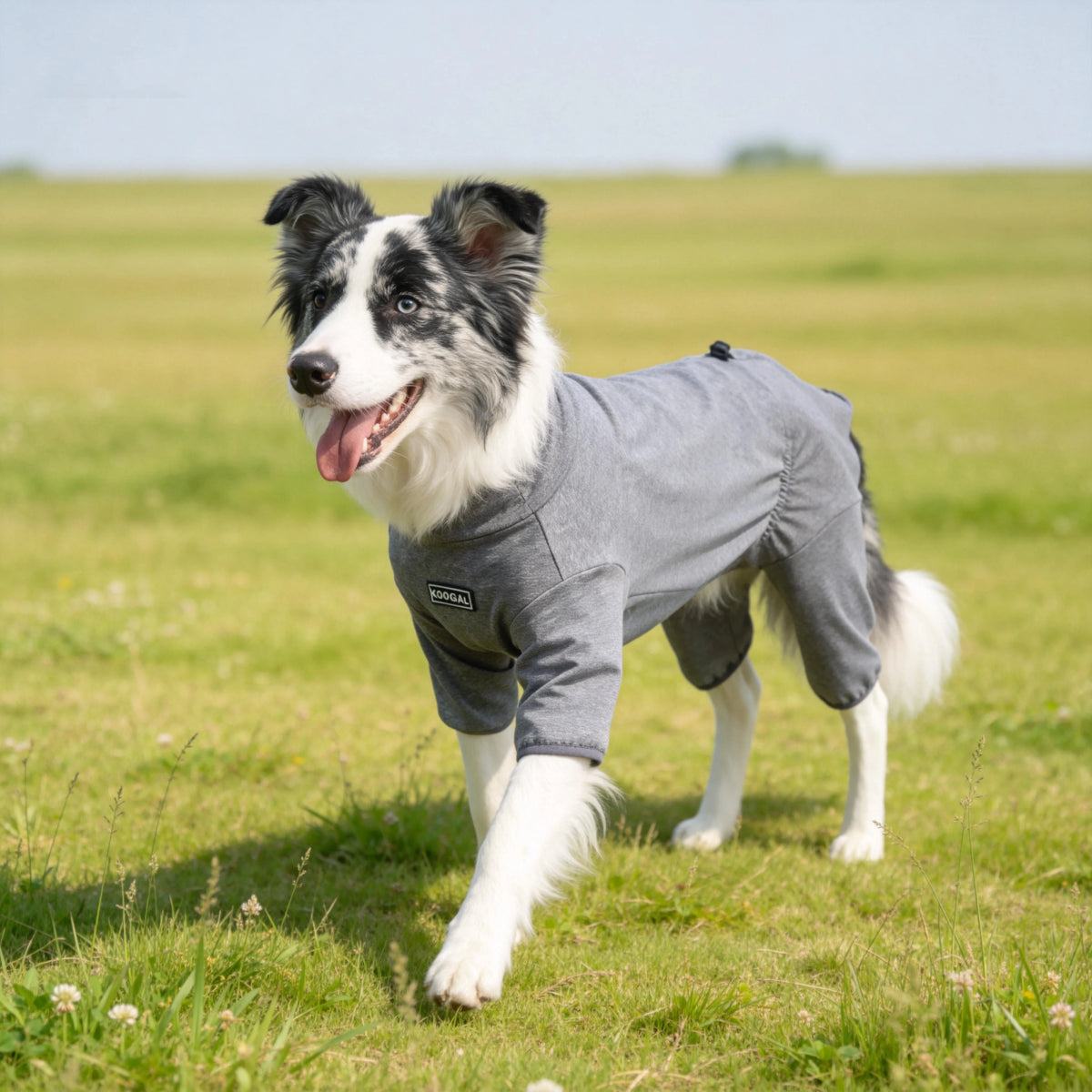 Cozy High-Collar Dog Pajamas – Four-Legged Sleepwear for Large Breeds
