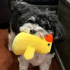 Ensemble de 7 Jouets en Peluche qui Grincent pour Chiots