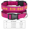 Personalisierte bestickte Nylon-Hundehalsband