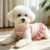 Red & White Striped Ruffle Hem Dog Dress for Small Breeds
