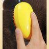 Spray de toilettage parfumé à la mangue & Brosse-massage pour animaux