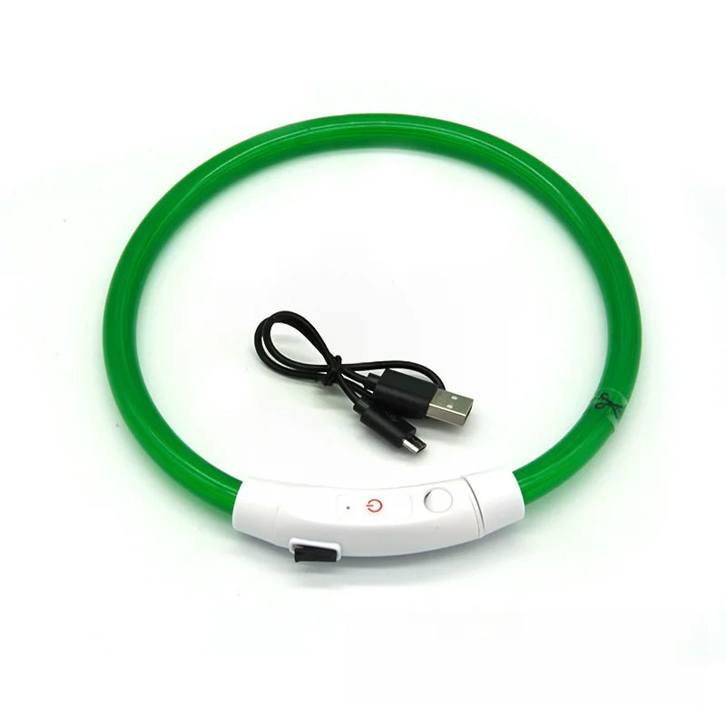 USB-aufladbarer LED-Hundehalsband