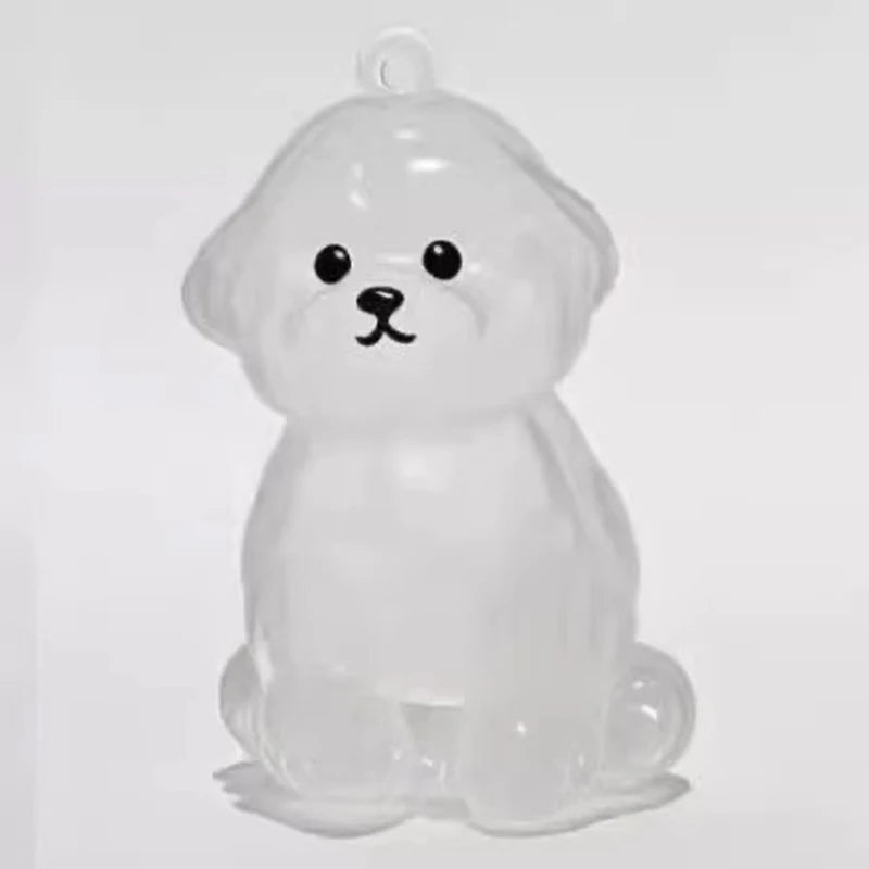 Transparent Pet Hair Keepsake Charm for Keys