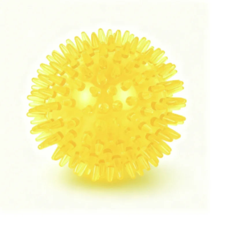 Squeaky Rubber Dog Ball Toy