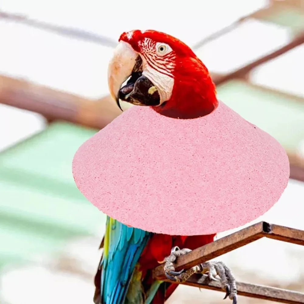 Adjustable Bird Recovery Collar – Anti-Pecking Protective Neck Sleeve