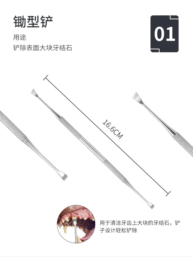 Stainless steel dog tooth cleaner set with a pointed tool for cleaning teeth and a scraper.